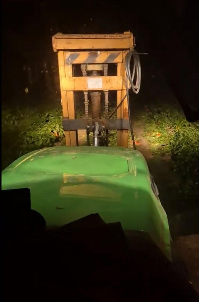 Rolnik rozdają paprykę za darmo! Ceny na skupie to dramat