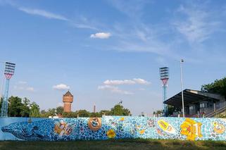 Mural na basenie letnim w Opolu