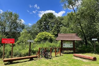 Rezerwat przyrody Sine Wiry 