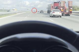 Katarzyna Cichopek po pracy popędziła do ukochanego