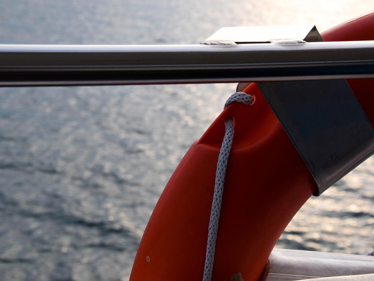 Świniary. Starosta płocki wpadł do Wisły? Trwa akcja poszukiwawcza