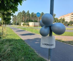 Komu lemoniadę na ochłodę? Sympatyczna akcja dzieci w Lesznie