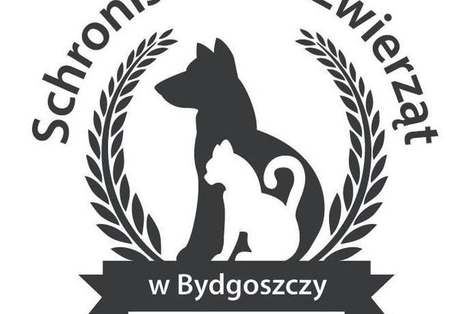 Pomóż zwierzakom ze schroniska
