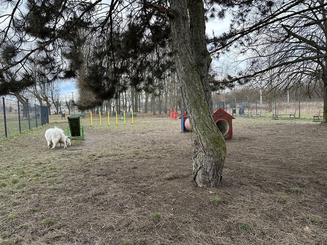 Psi park na ul. Maratońskiej w Łodzi