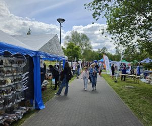 Festiwal Przyjaciół Zwierząt w Olsztynie. Park Centralny opanowały radosne pieski