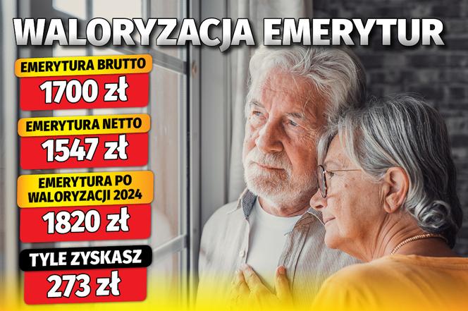 waloryzacja 2024 (12 proc.) + waloryzacja kwotowa