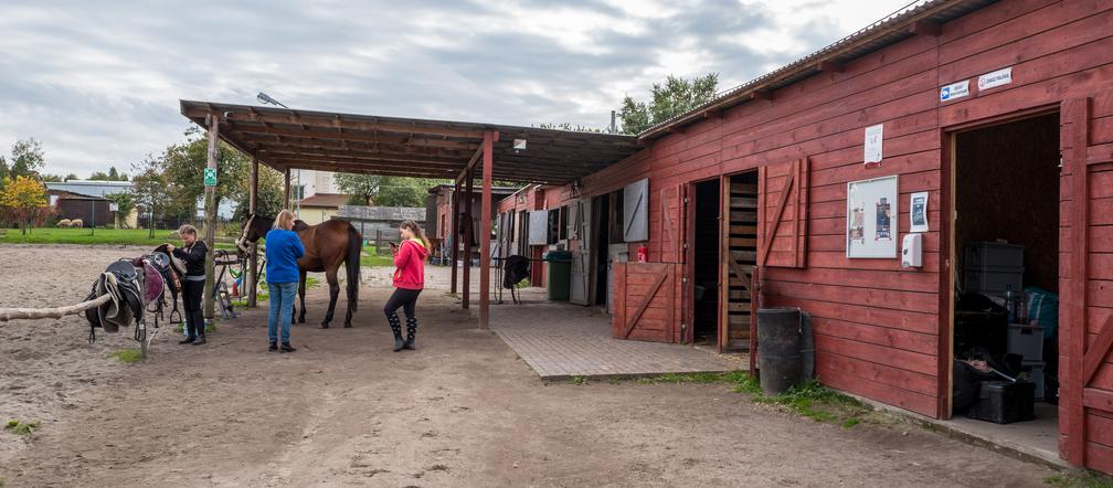 Stadnina koni w Bytomiu