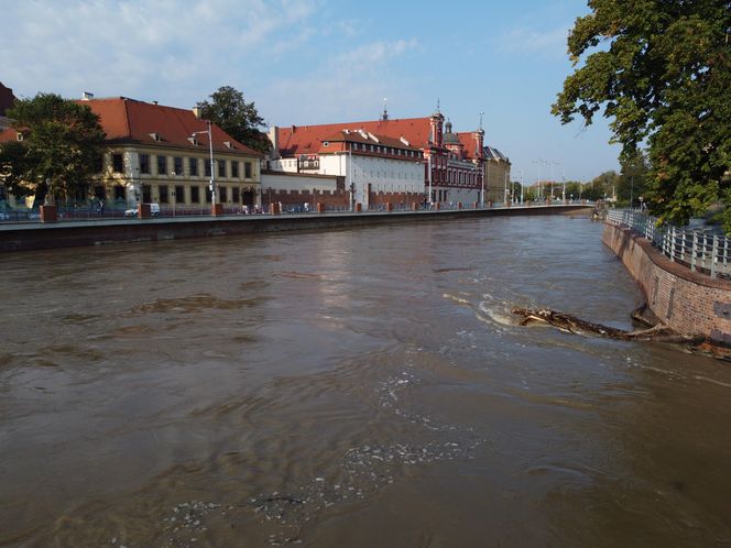 Sytuacja na Odrze we Wrocławiu