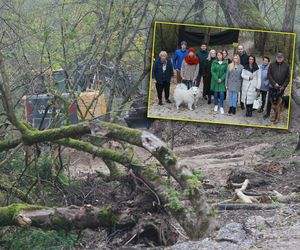 Mieli wyciąć tylko kilka chorych drzew, a przetrzebili kawałek lasu. Mieszkańcy apelują