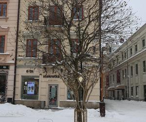 Świąteczne iluminacje zaczynają ozdabiać centrum Lublina