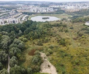 Park Południowy w Gdańsku