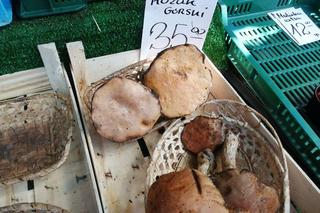 Ile kosztują grzyby w Krakowie? Ceny na targowiskach przyprawiają o zawrót głowy