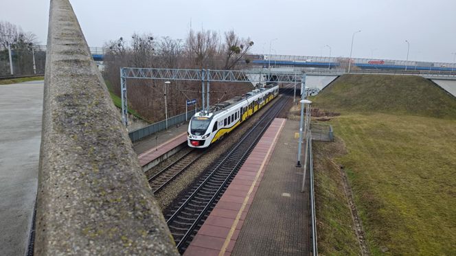 Tak wygląda uszkodzony dach nad przystankiem tramwajowym we Wrocławiu. Miasto zabezpiecza go ogromnymi podporami 