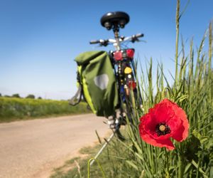 Gdzie na rower w Szczecinie i regionie? Te miejsca sprawdzą się idealnie