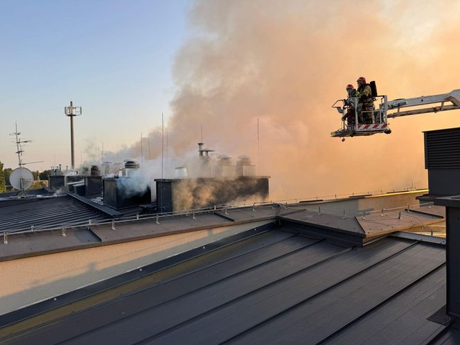 Pożar przy ul. Krańcowej w Poznaniu. Strażacy: "To była trudna noc" [ZDJĘCIA]