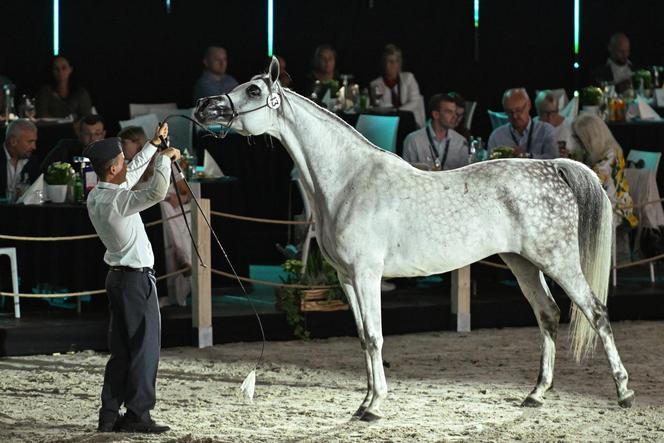 Porażka Pride of Poland 2024? Zyski są zdecydowanie niższe niż rok temu