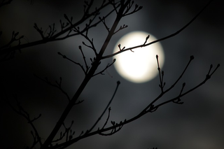 Pełnia Robaczego Księżyca 2019: Ciekawe zjawisko na początku wiosny. Kiedy zobaczymy je w Warszawie?