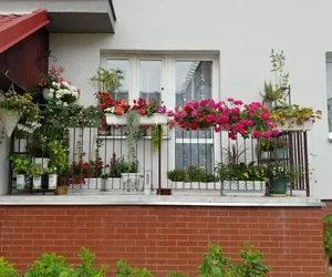 Wybrali najpiękniejsze balkony w Elblągu
