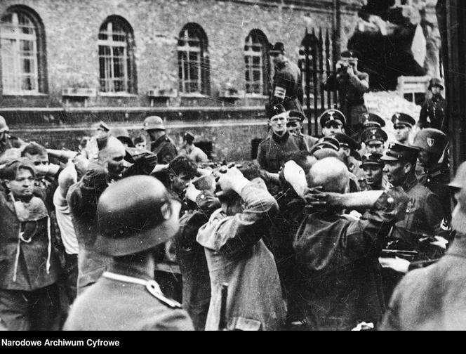 Zdjęcia z Westerplatte Wojskowej Agencji Fotograficznej z lat 1947 - 1950