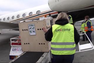 Lwiątka z Odessy były skazane na śmierć! Teraz zaczynają nowe życie w amerykańskim azylu [ZDJĘCIA]