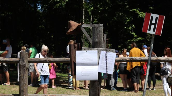 Jarmark koński w lubelskim skansenie przyciągnął tłumy