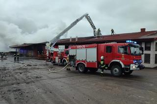 Czerwone. Tragiczny pożar tartaku. Jedna osoba nie żyje [2.02.2023]