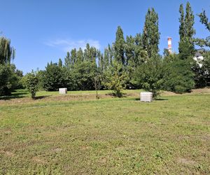 Atrakcyjna cenowo nieruchomość pod budowę domu jednorodzinnego? To wciąż możliwe!