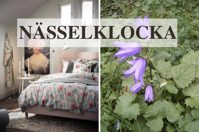 Skąd się biorą nazwy IKEA?