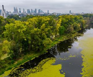 Port Praski - widok z drona, wrzesień 2024