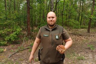 Pierwsze grzyby w woj. warmińsko-mazurskim. Leśnicy oficjalnie potwierdzają! 