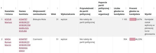 Wybory samorządowe 2024. Sprawdź, jak głosowano w gminach powiatu piotrkowskiego [GALERIA]