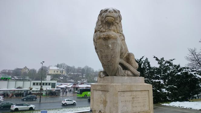 Pierwszy śnieg w tym sezonie! Lublin jest ukryty pod zimową pierzynką 