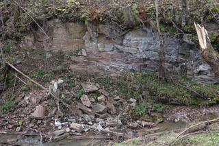 Opuszczona wieś w Małopolsce. Po mieszkańcach został jeden dom 