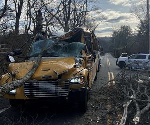 Drzewo runęło na szkolny autobus w New Jersey