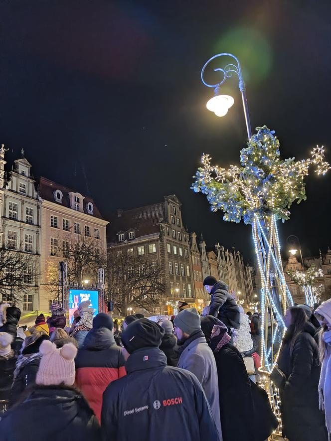 Gdańska choinka rozbłysła. Zobaczcie nasze zdjęcia!