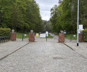 grób Przemysława Wałęsy