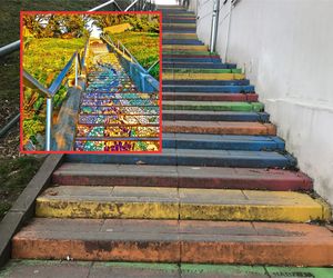 Tęczowe schody po dewastacji zyskają nowe życie? Mieszkańcy chcą stworzyć na nich mozaikę [GALERIA]