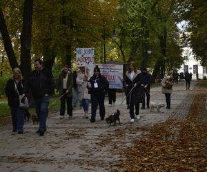 Wielki marsz adopciaków w Radomiu