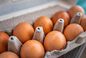 GIS ostrzega przed salmonellą w partii jaj. Nie spożywać produktu
