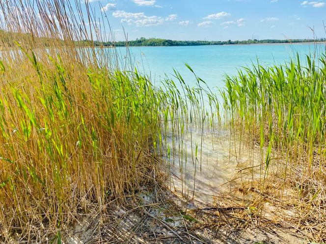 Turkusowe jezioro w Wielkopolsce