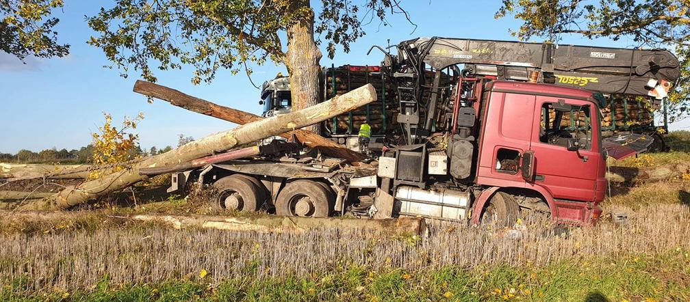 Olbrzymie kłody zablokowały drogę wojewódzką 163