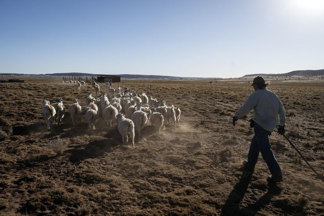 Przez to hrabstwo Ameryka może czekać 2 tygodnie na wynik wyborów