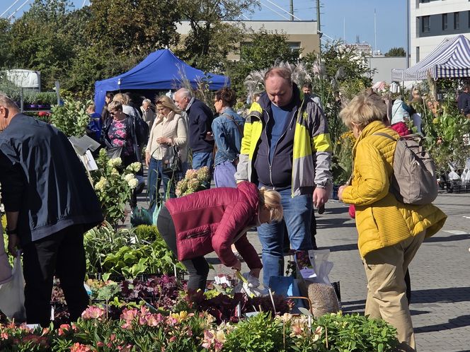 Jesienny Kiermasz Ogrodniczy w Bydgoszczy przyciągnął miłośników zieleni i smakołyków!