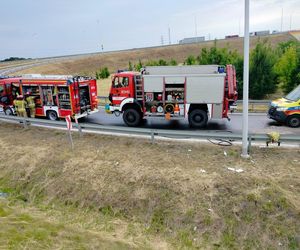 Wypadek w Elizówce. Kierowca był zakleszczony w pojeździe
