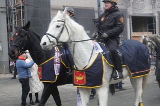 Wielka Szarża w centrum Łodzi. Oddziały konne przeszły przez Piotrkowską