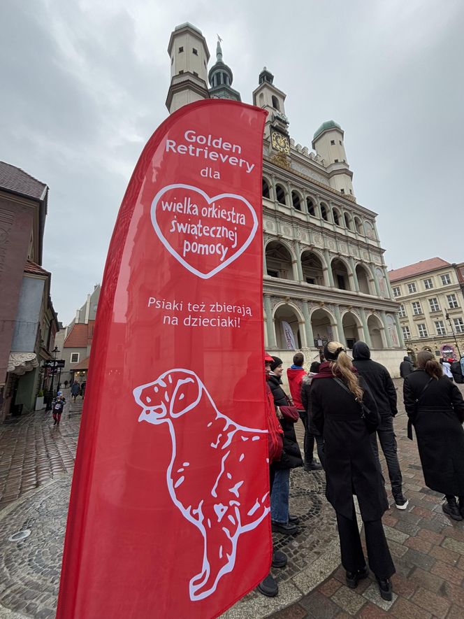 Wolontariusze WOŚP Poznań