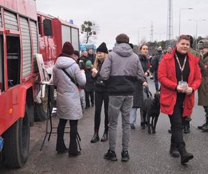 Parada zabytkowych ulicami Bydgoszczy i regionu! Za nami Retro Karawana [ZDJĘCIA]