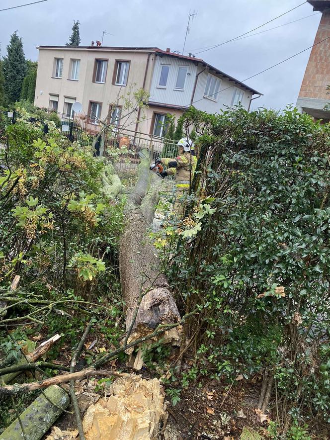 Gwałtowne burze przeszły nad Podkarpaciem 