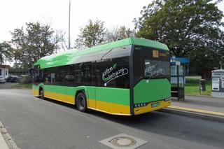 Zmiany na liniach autobusowych. Pasażerowie tych linii muszą być ostrożni!