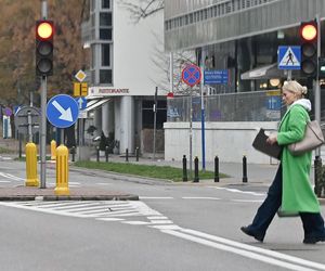 Małgorzata Foremniak. Zosia samosia